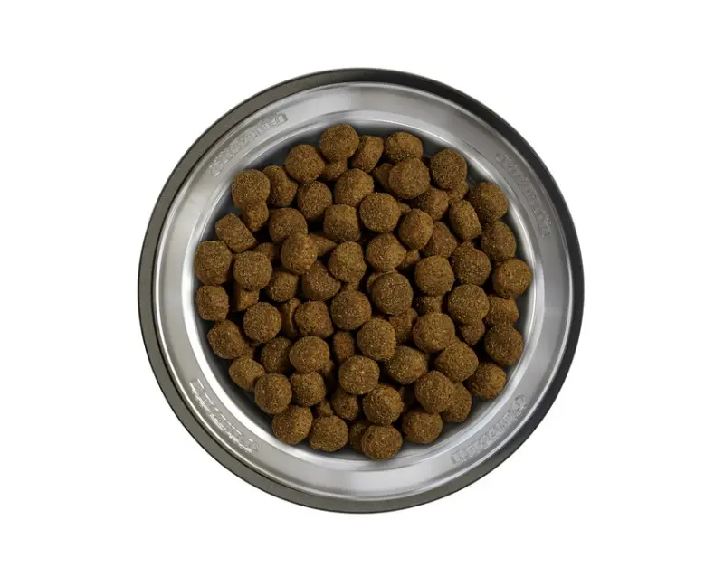belcando-fischer3.webp