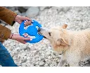 frisbee-let-s-play2.webp