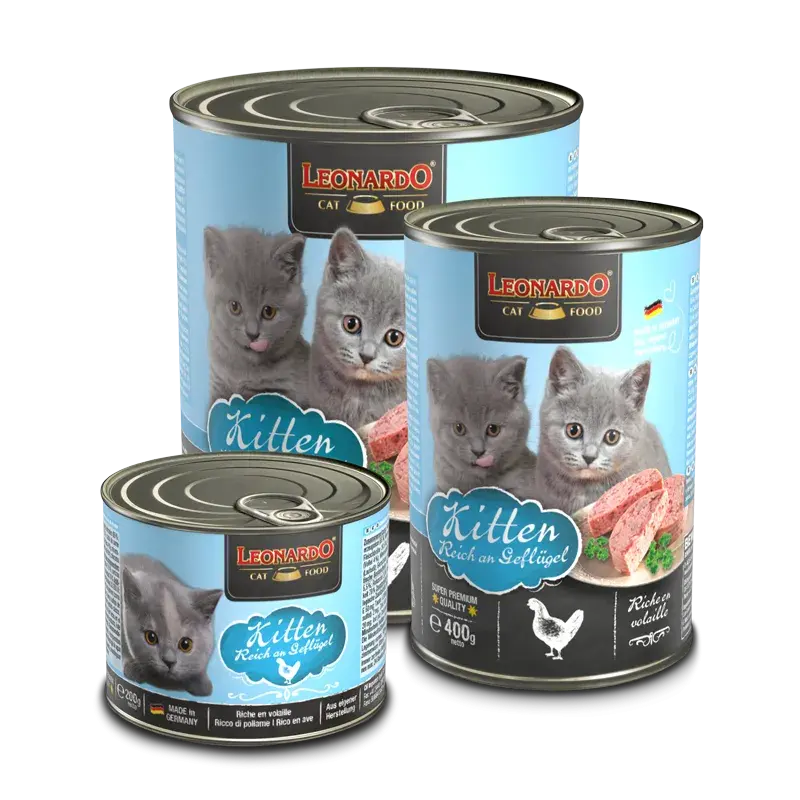  LEONARDO - Boite Kitten
