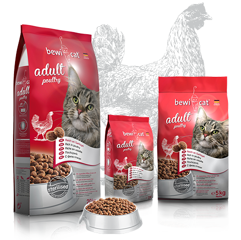 BEWI CAT - Adult Poultry