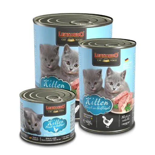  LEONARDO - Boite Kitten