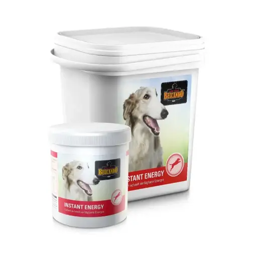 BELCANDO - INSTANT ENERGY