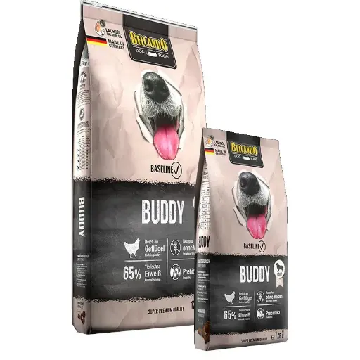 BELCANDO - Buddy