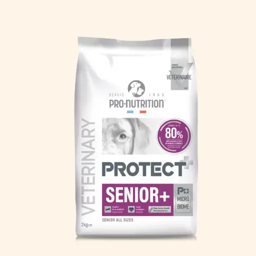 PRO NUTRITION - Veterinary Protect Senior+ | Chien adulte ou âgé avec troubles de la fonction rénale, ostéoarticulaires ou cardiaques